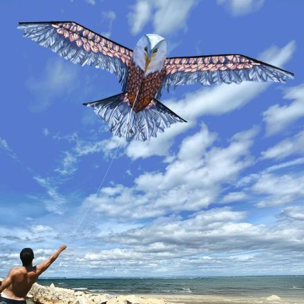 3D Eagle Kite